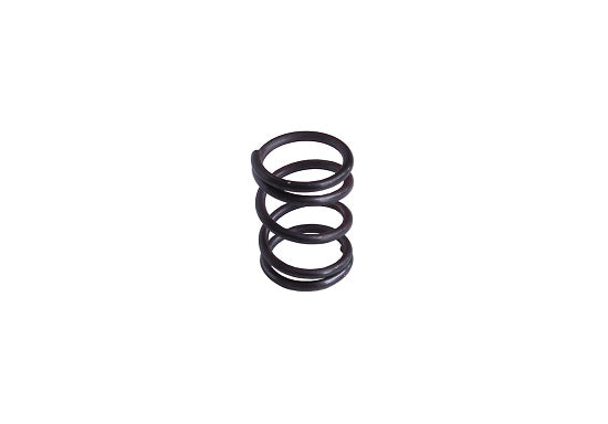 MCP Brake Pad Retention Spring
